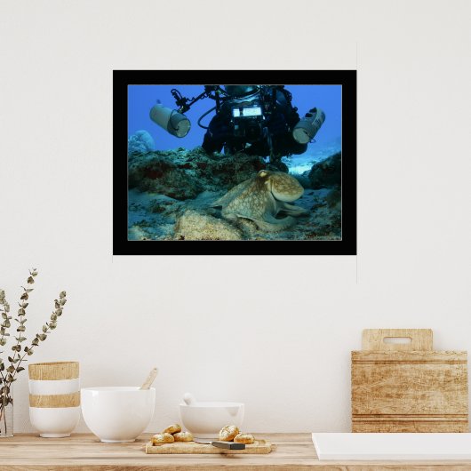 Poster Mark and the Octopus (Cuisine)