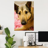 Poster Marley Cherry Blossom Pedales (Bureau à domicile)