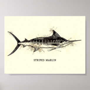 Poster Marlin rayé Kajikia audax dessin Vintage Art
