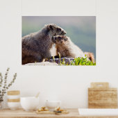 Poster Marmot Mother (Cuisine)