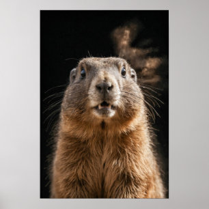 Poster Marmot Wild Animal Élégant Dramatique Mist Portrai
