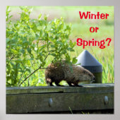 Poster Marmotte (Devant)