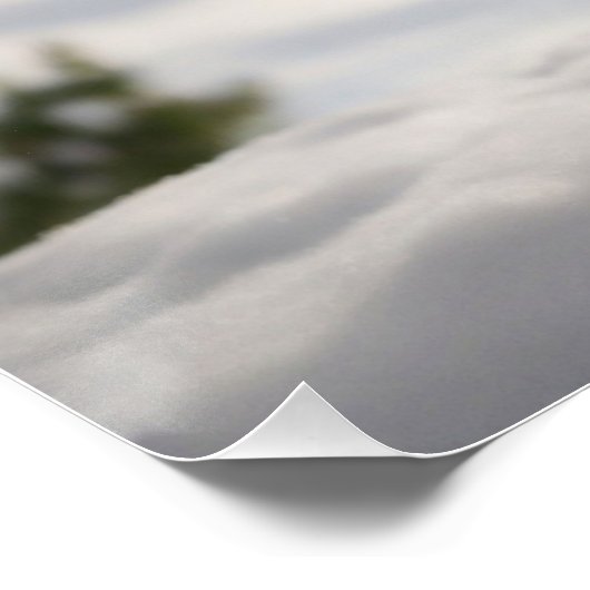 Poster Marmotte (Coin)