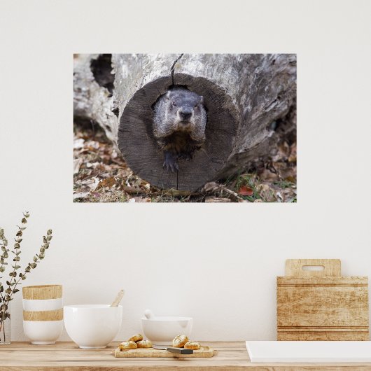 Poster Marmotte (Cuisine)