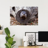 Poster Marmotte (Bureau à domicile)