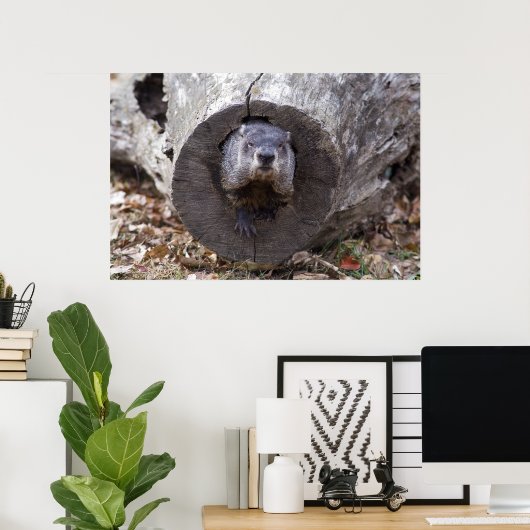 Poster Marmotte (Bureau à domicile)