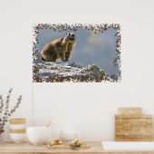 Poster Marmotte alpine dans cadre feuille (Cuisine)