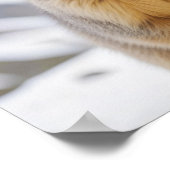 Poster Marmotte Animal Nature Faune Affection Soin (Coin)