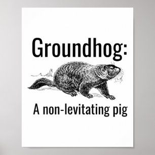 Poster Marmotte Un Cochon Non-Lévitant Drôle de Calembour