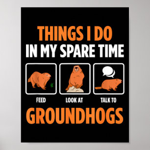 Poster Marmottes et marmottes drôle sifflet cochon rongeu
