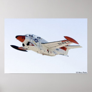 Poster Maronnier américain de T2