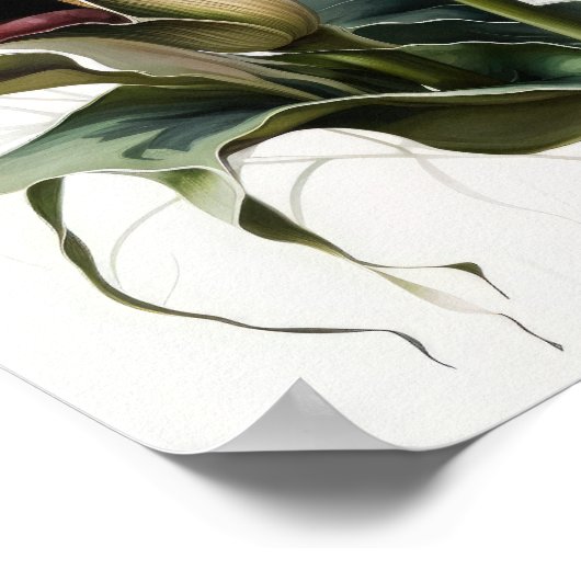 Poster Maroon Calla Lilies Lily Flower Art Imprimer Poste (Coin)