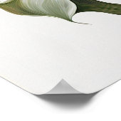 Poster Maroon Calla Lilies Lily Flower Art Imprimer Poste (Coin)