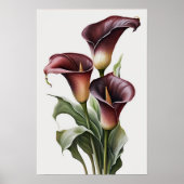 Poster Maroon Calla Lilies Lily Flower Art Imprimer Poste (Devant)