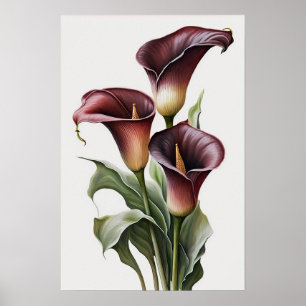 Poster Maroon Calla Lilies Lily Flower Art Imprimer Poste