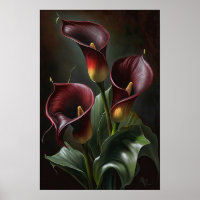 Maroon Calla Lilies Lily Flower Art Imprimer Poste