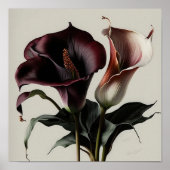 Poster Maroon Calla Lilies Lily Flower Art Imprimer Poste (Devant)