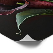 Poster Maroon Calla Lilies Lily Flower Art Imprimer Poste (Coin)