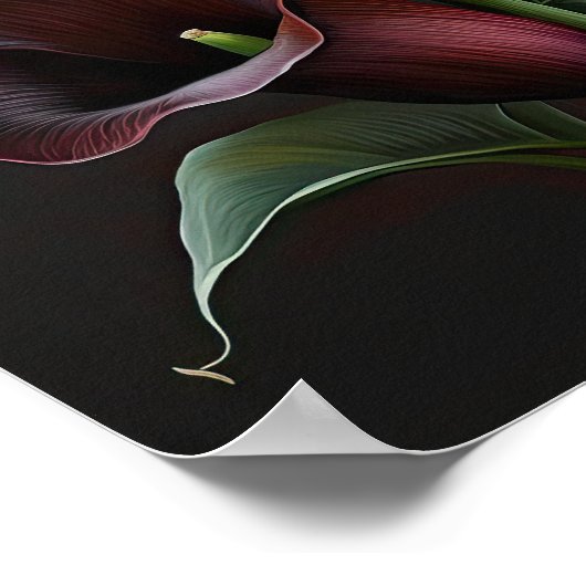 Poster Maroon Calla Lilies Lily Flower Art Imprimer Poste (Coin)
