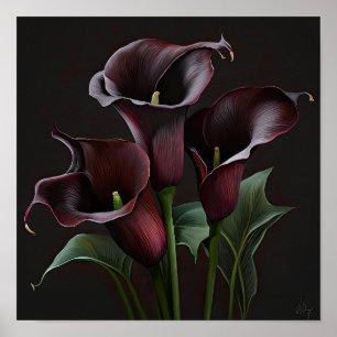 Poster Maroon Calla Lilies Lily Flower Art Imprimer Poste