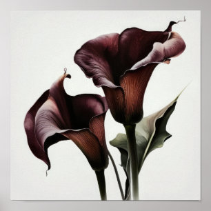 Poster Maroon Calla Lilies Lily Flower Art Imprimer Poste
