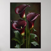 Poster Maroon Calla Lilies Lily Flower Art Imprimer Poste (Devant)