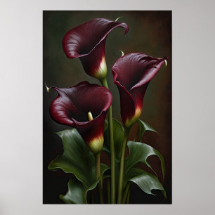 Poster Maroon Calla Lilies Lily Flower Art Imprimer Poste