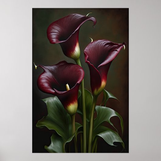 Poster Maroon Calla Lilies Lily Flower Art Imprimer Poste (Devant)