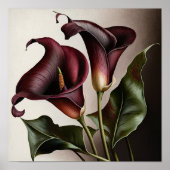 Poster Maroon Calla Lilies Lily Flower Art Imprimer Poste (Devant)