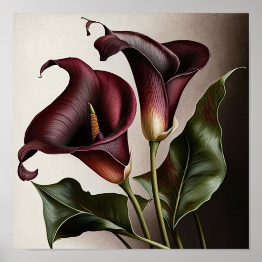 Poster Maroon Calla Lilies Lily Flower Art Imprimer Poste (Devant)