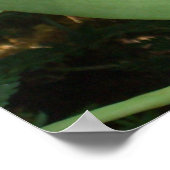 Poster Maroon Orchids II (Coin)