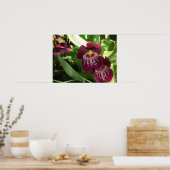 Poster Maroon Orchids II (Cuisine)