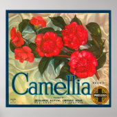 Poster Marque Camellia Oranges Étiquette (Devant)