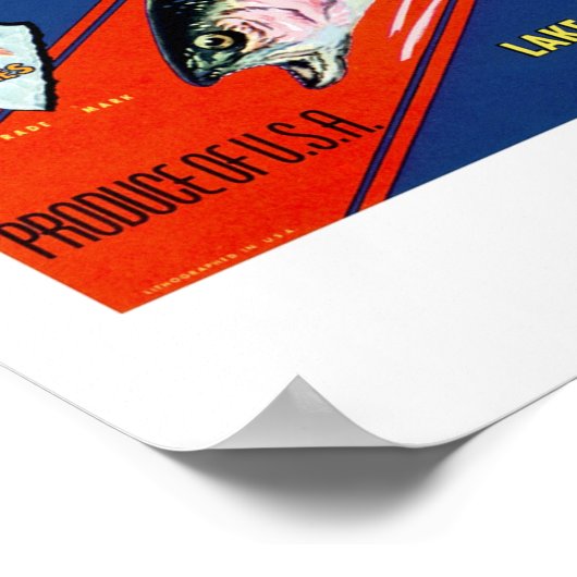 Poster Marque de truite (Coin)