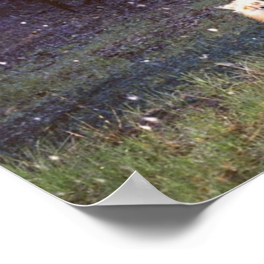 Poster Marque nouvelle marmite (Coin)