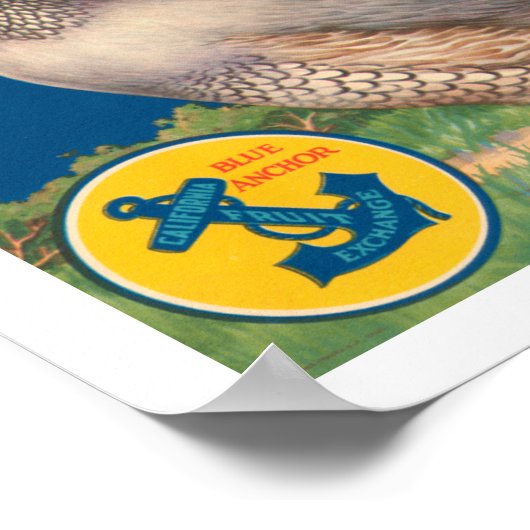 Poster Marque Quail Contra Costa Bartletts (Coin)