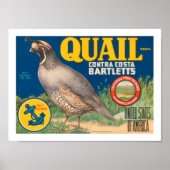 Poster Marque Quail Contra Costa Bartletts (Devant)