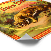 Poster Marque Tiger 1900 (Coin)