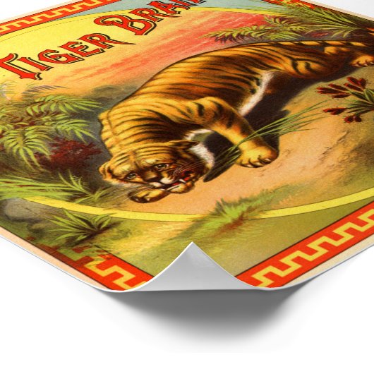 Poster Marque Tiger 1900 (Coin)