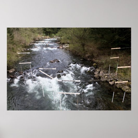 Poster Marques de course Kayak Imprimer (Devant)