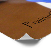 Poster Marqueurs à Sunlight (Coin)