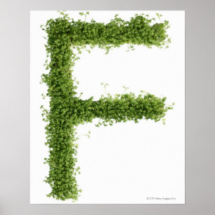 Poster Marquez avec des lettres "F" en cresson sur