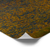 Poster Marra Mamba Tiger Eye (Coin)