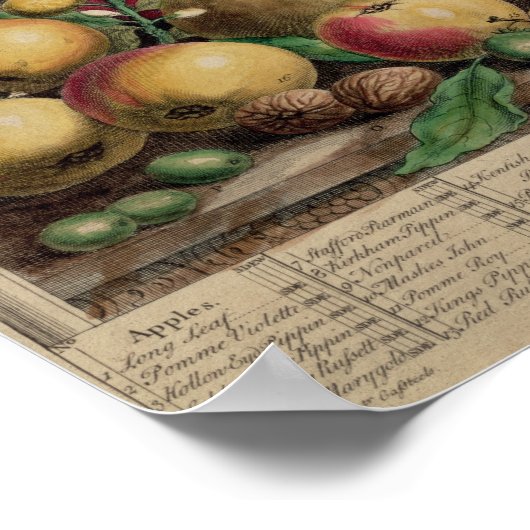 Poster Mars, à partir de "Douze mois de fruits" (Coin)