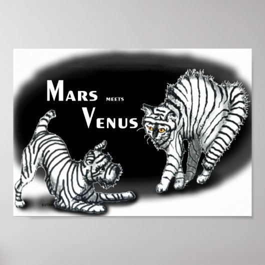 Poster Mars rencontre Vénus (Devant)