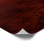 Poster Mars Science Laboratory approchant Mars. (Coin)