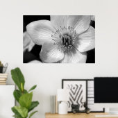 Poster Marsh Marigold (Bureau à domicile)