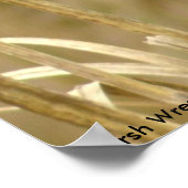 Poster Marsh Wren (Coin)