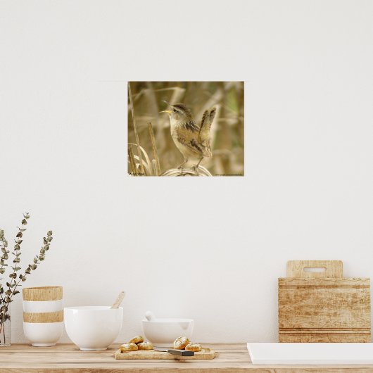 Poster Marsh Wren (Cuisine)