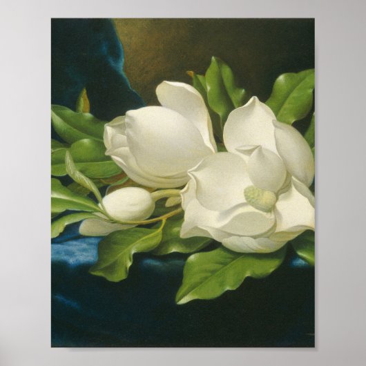 Poster Martin Johnson Heade (Devant)